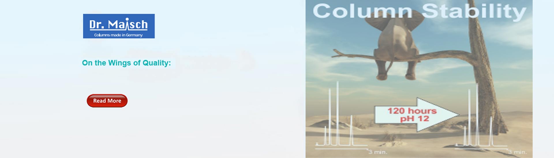 GC Column